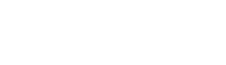 F Team Logo